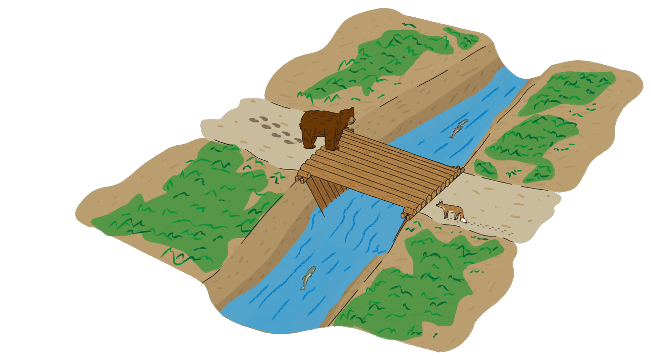 木橋は近自然工法。森にある木をつかいます。