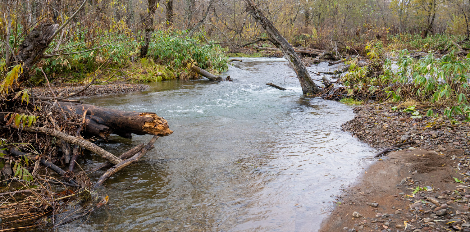 「もっと自由になりたいんだ」と、ブトカマベツはムズムズしています。